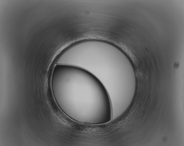 X0000097670488200802290949