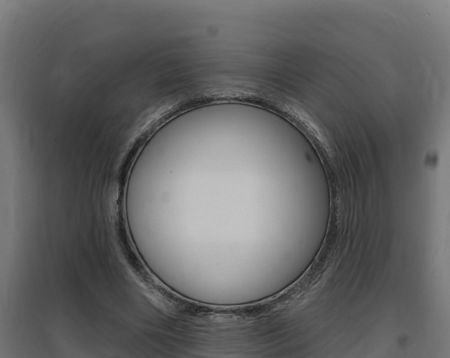 X0000097670490200802290949