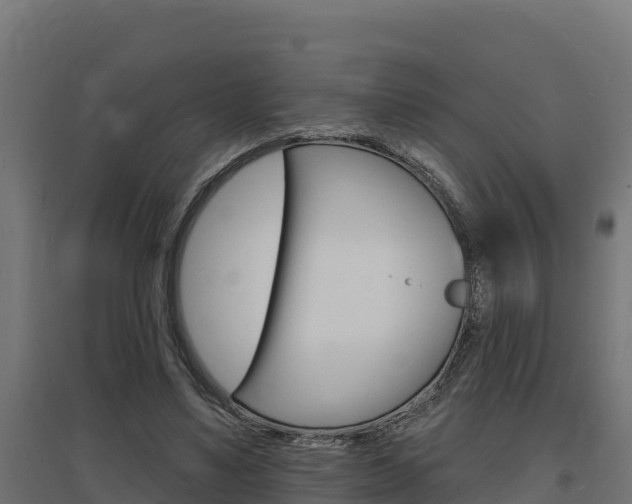 X0000097670491200802290949