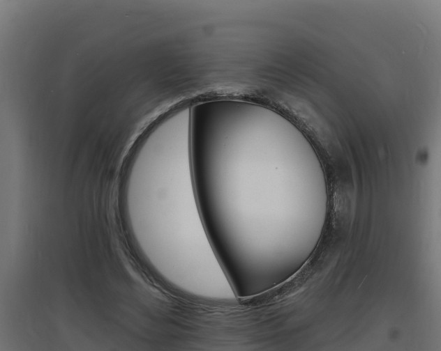 X0000097670492200802290949