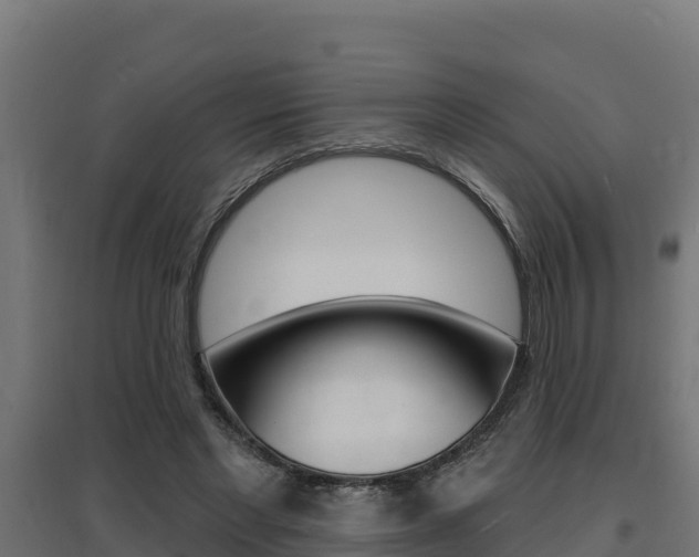 X0000097670493200802290949