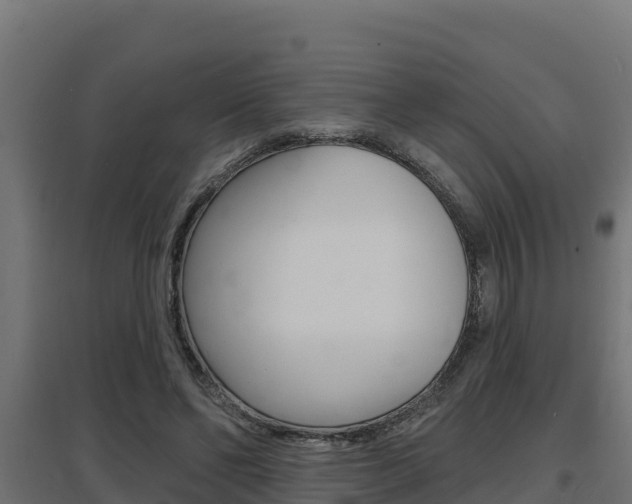 X0000097670494200802290949