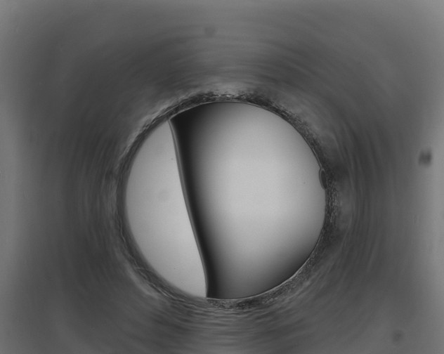 X0000097670496200802290949
