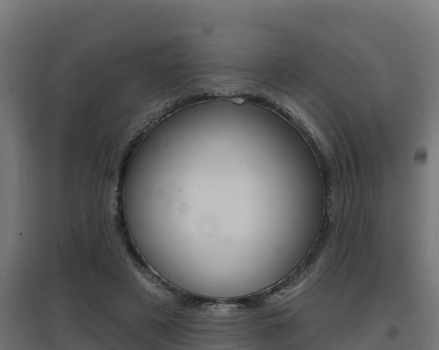 X0000097670497200802290949