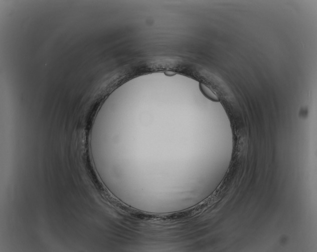 X0000097670498200802290949