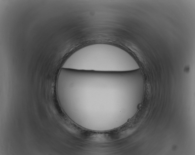 X0000097670499200802290949