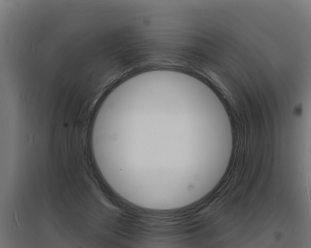 X0000097670500200802290949
