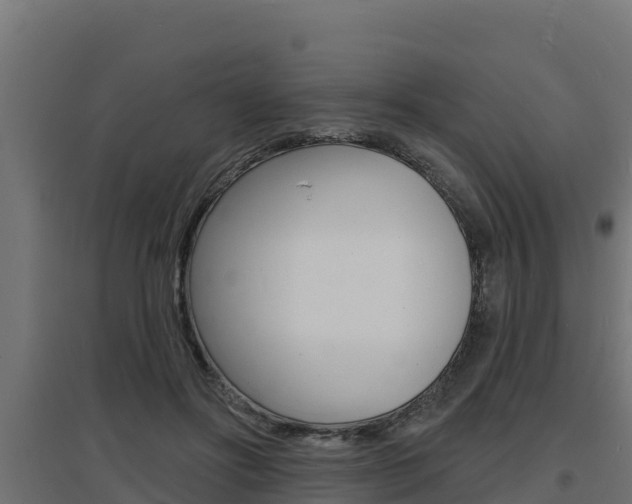 X0000097670502200802290949