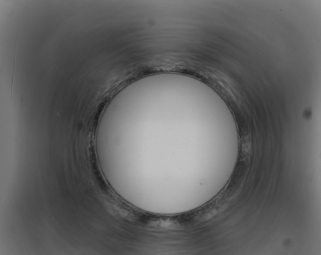 X0000097670503200802290949