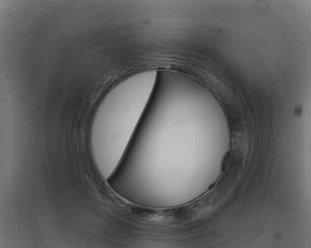 X0000097670504200802290949