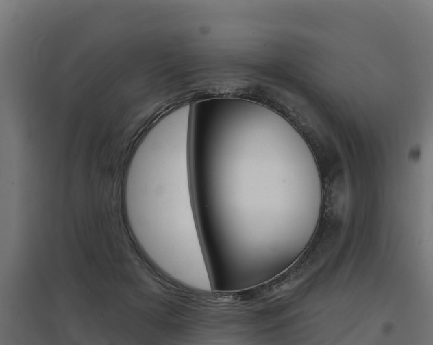 X0000097670505200802290949