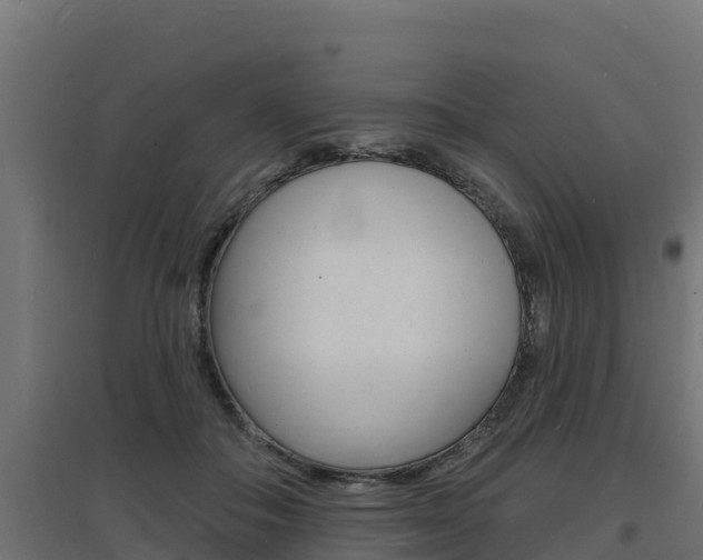 X0000097670506200802290949