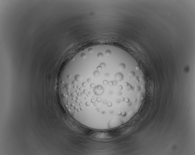 X0000097670507200802290949