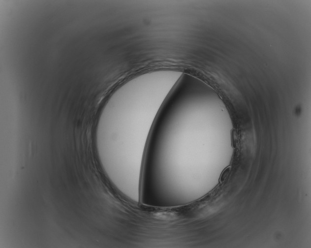 X0000097670508200802290949