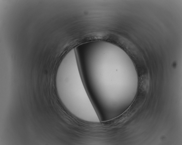 X0000097670509200802290949