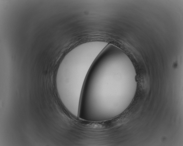 X0000097670512200802290949