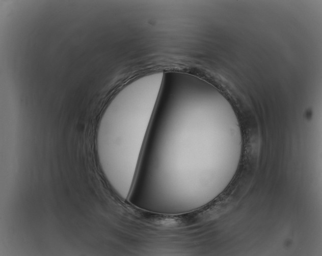 X0000097670513200802290949