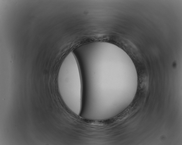 X0000097670515200802290949