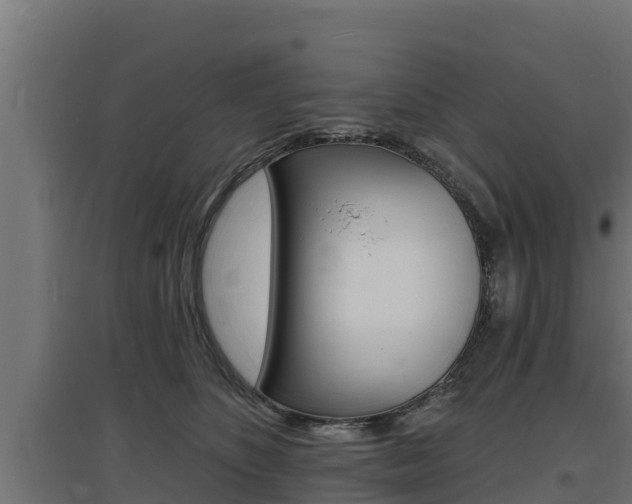 X0000097670516200802290949