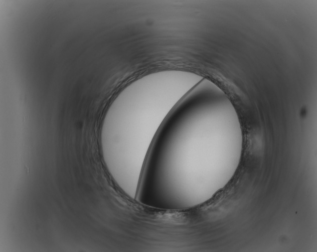 X0000097670517200802290949