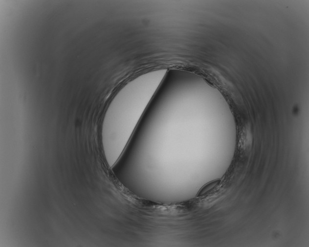 X0000097670524200802290949
