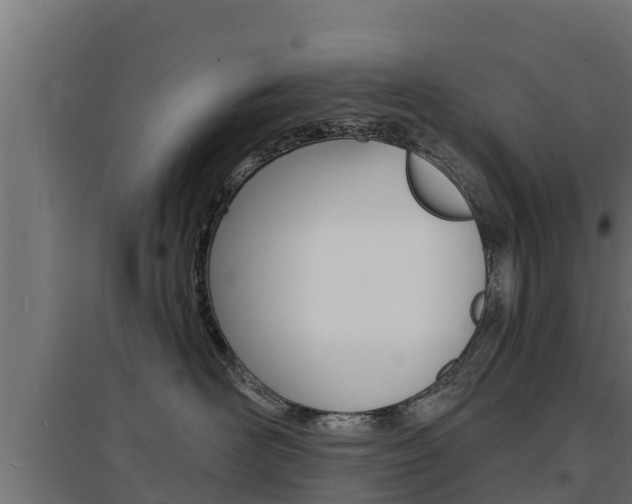 X0000097670526200802290949