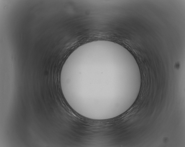 X0000097670528200802290949