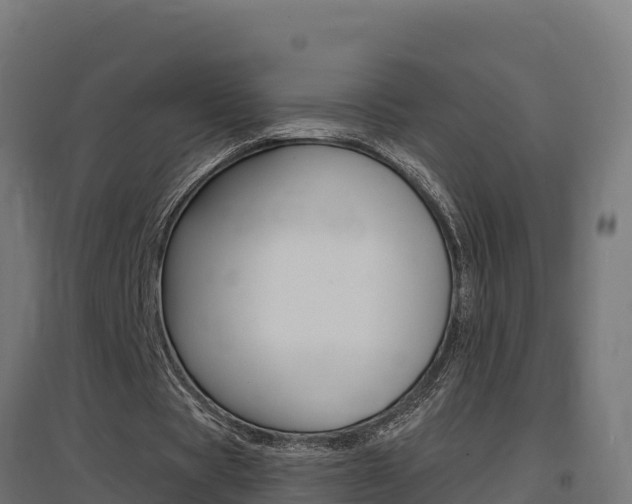 X0000097670529200802290948