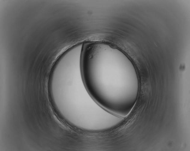X0000097670530200802290948