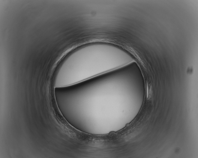 X0000097670531200802290948