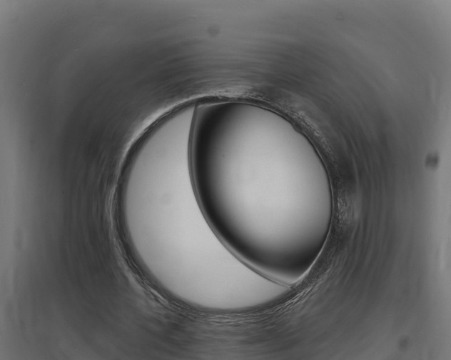X0000097670532200802290948