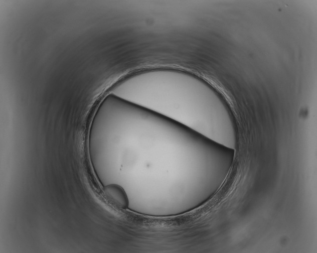 X0000097670533200802290948