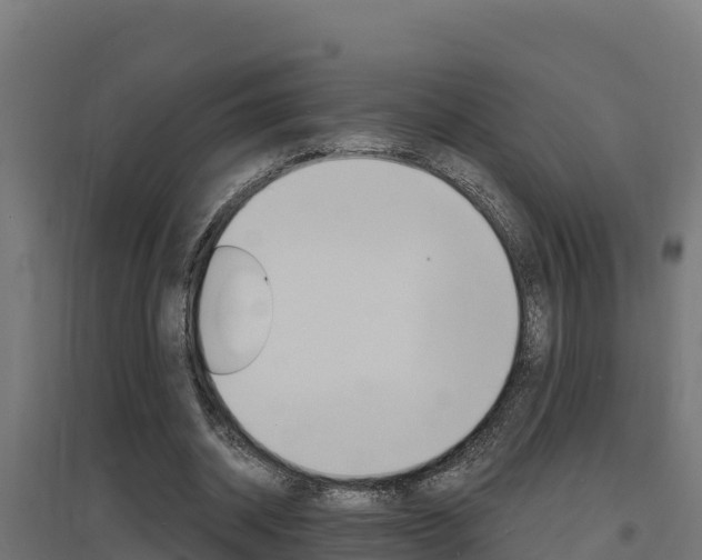X0000097670534200802290948