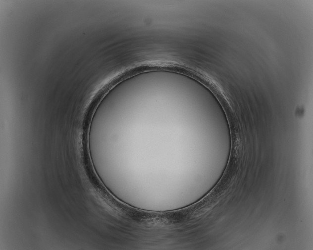 X0000097670535200802290948