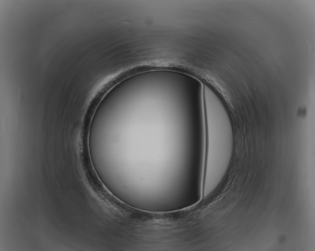 X0000097670536200802290948