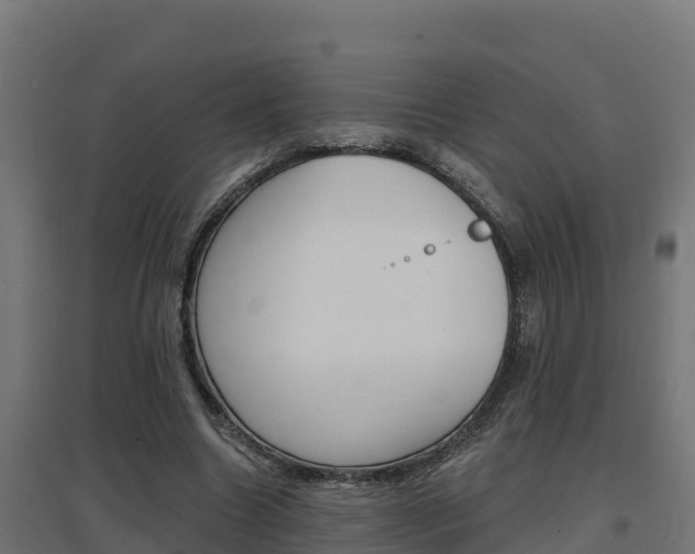 X0000097670538200802290948