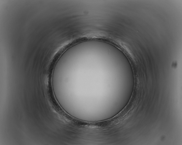 X0000097670539200802290948