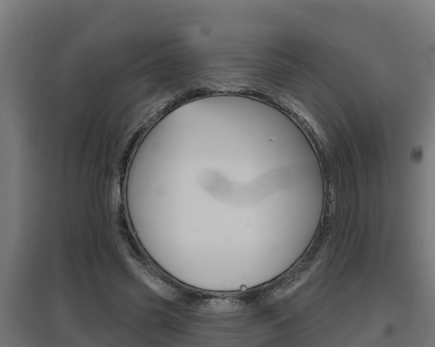 X0000097670541200802290948