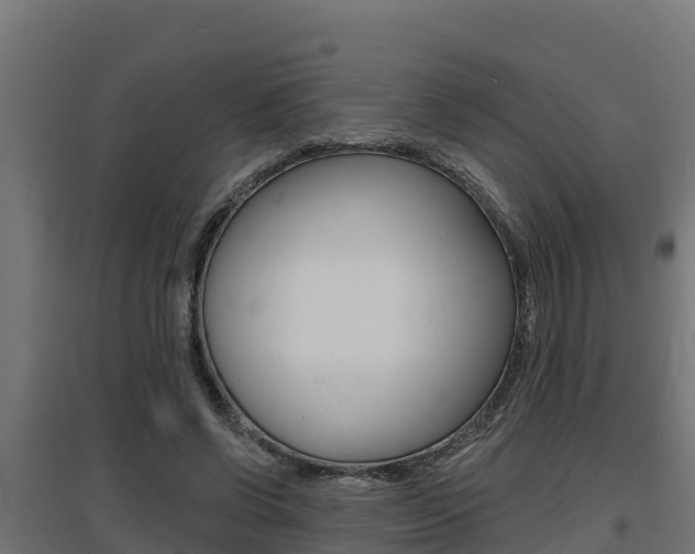 X0000097670542200802290948