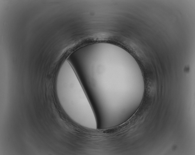 X0000097670543200802290948