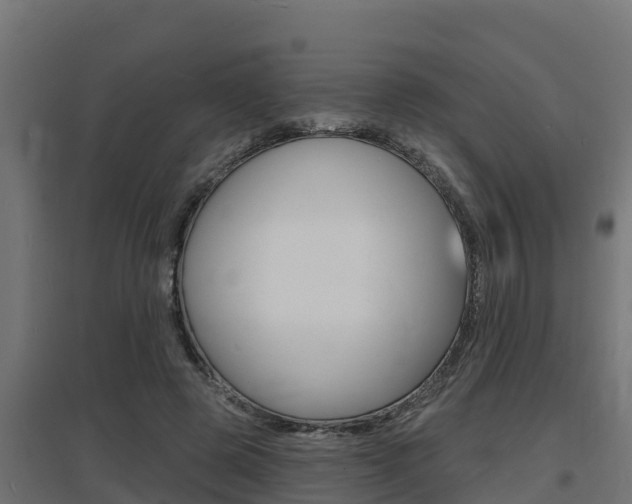 X0000097670545200802290948