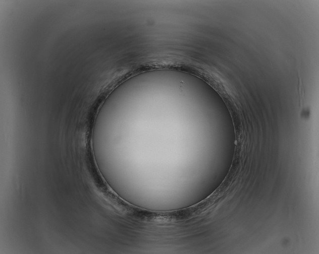 X0000097670546200802290948