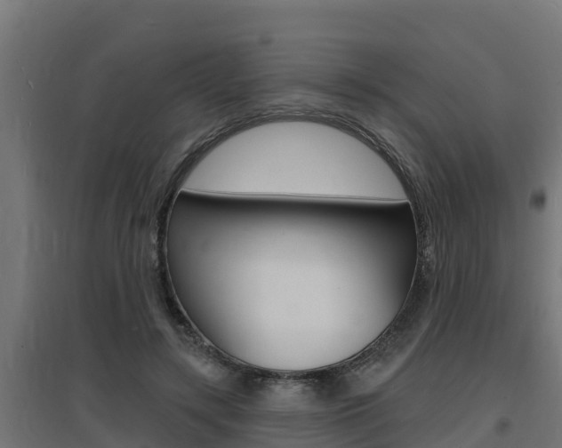 X0000097670547200802290948