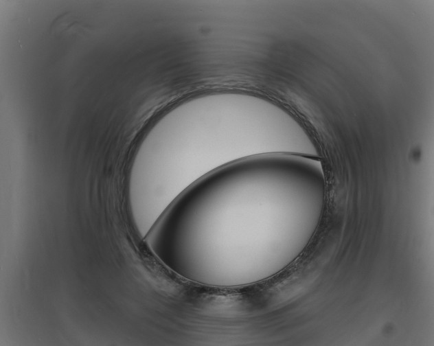 X0000097670548200802290948