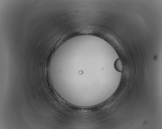 X0000097670549200802290948
