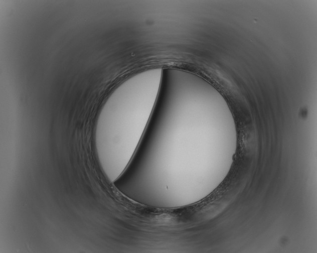 X0000097670551200802290948