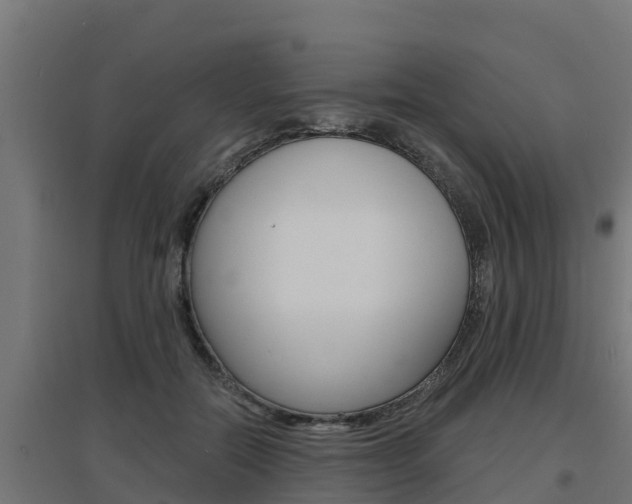X0000097670554200802290948