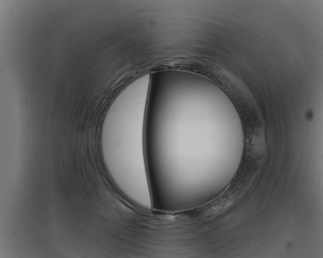 X0000097670558200802290948