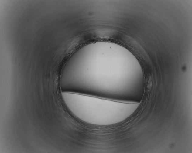 X0000097670559200802290948