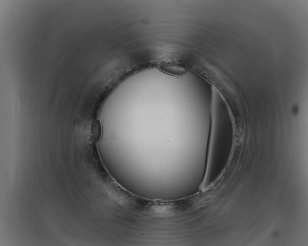 X0000097670560200802290948
